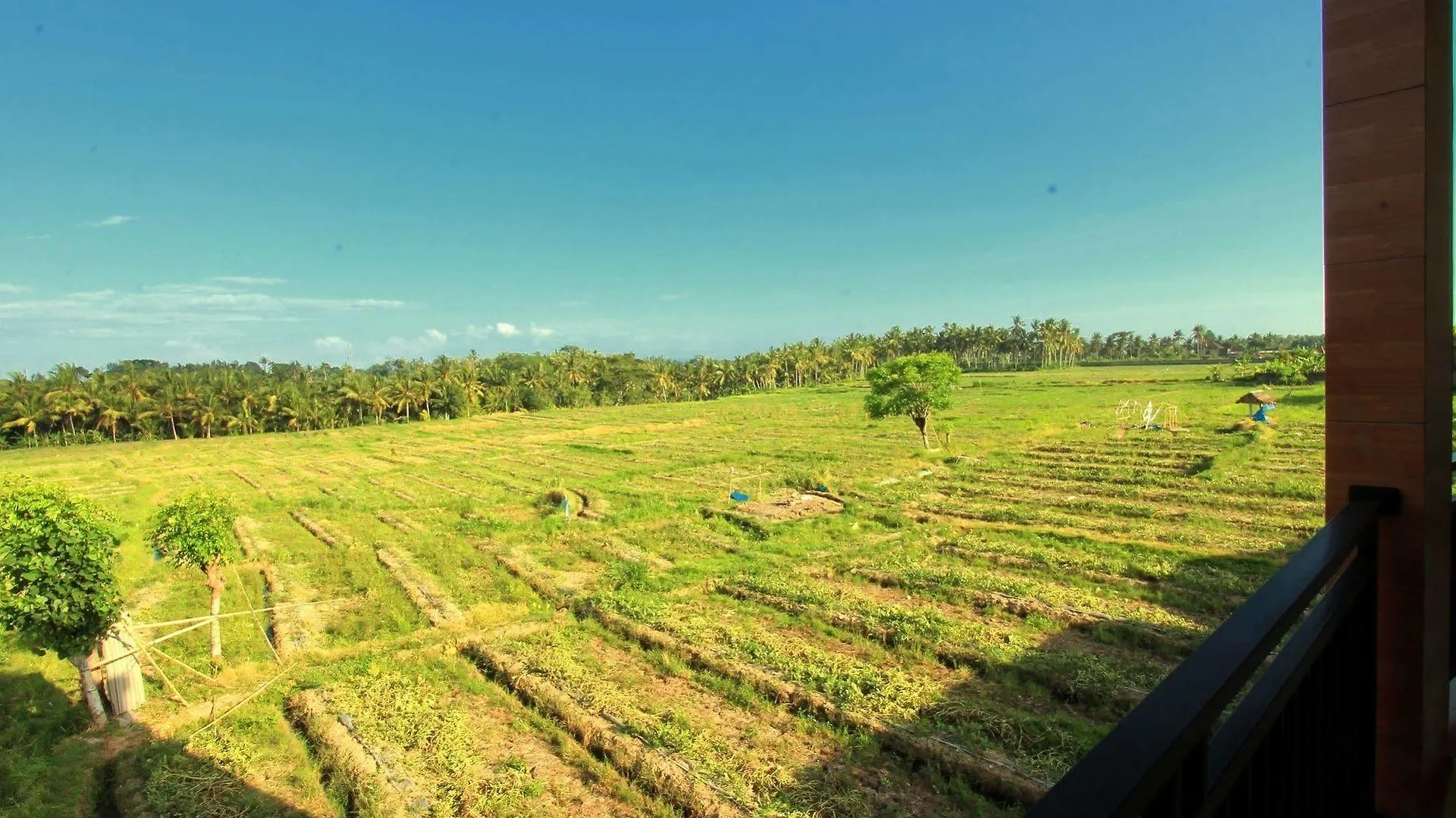 Ubud Canti Accommodation